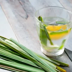Aromático, acessível e repleto de benefícios, ele representa um hábito saudável que contribui para uma vida mais equilibrada e tranquila (Foto: Divulgação)