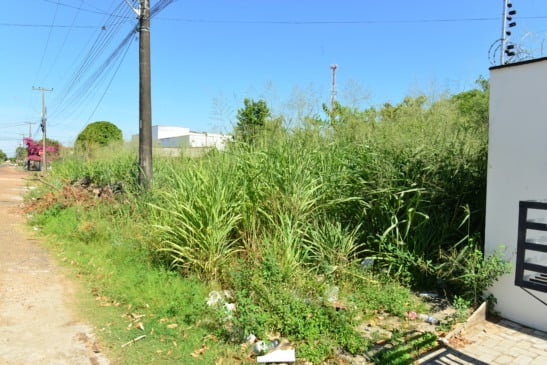 Paraviana tem terrenos públicos e particulares cobertos por matagal e lixo