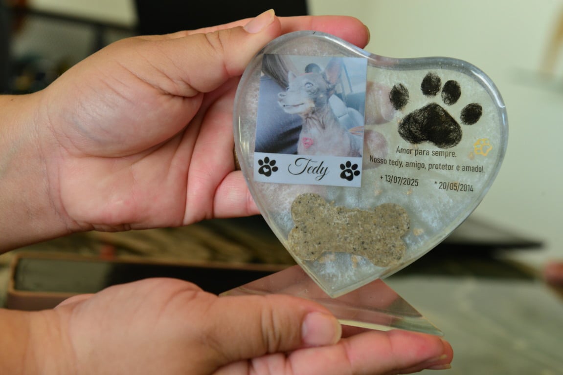 Placa de resina pode ser utilizada para eternizar os pets (Foto: Nilzete Franco/FolhaBV) 