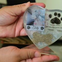 Placa de resina pode ser utilizada para eternizar os pets (Foto: Nilzete Franco/FolhaBV) 