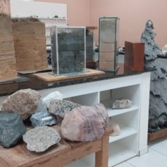 Museu de Solos da UFRR recebe estudantes em ação educativa sobre meio ambiente