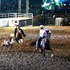 Finais das provas de tres tambores e paratambor, laço em dupla e rodeio.