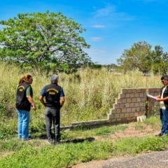 De acordo com a gestão municipal, o objetivo é orientar os proprietários sobre a necessidade de manter os lotes limpos. (Foto: Divulgação)