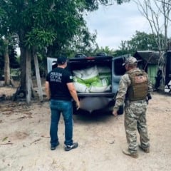 Associação criminosa especializada em furtos rurais é desarticulada no Sul de Roraima