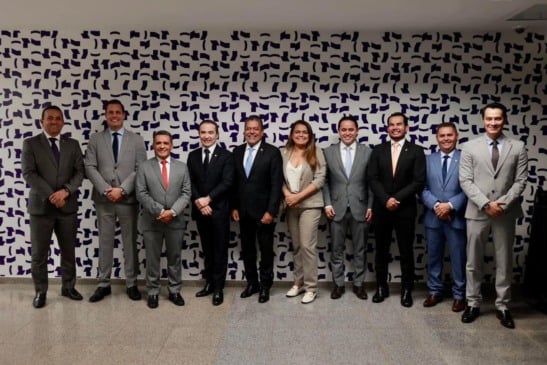 Parlamentares e senadores de Roraima em Brasília (Foto: Divulgação)