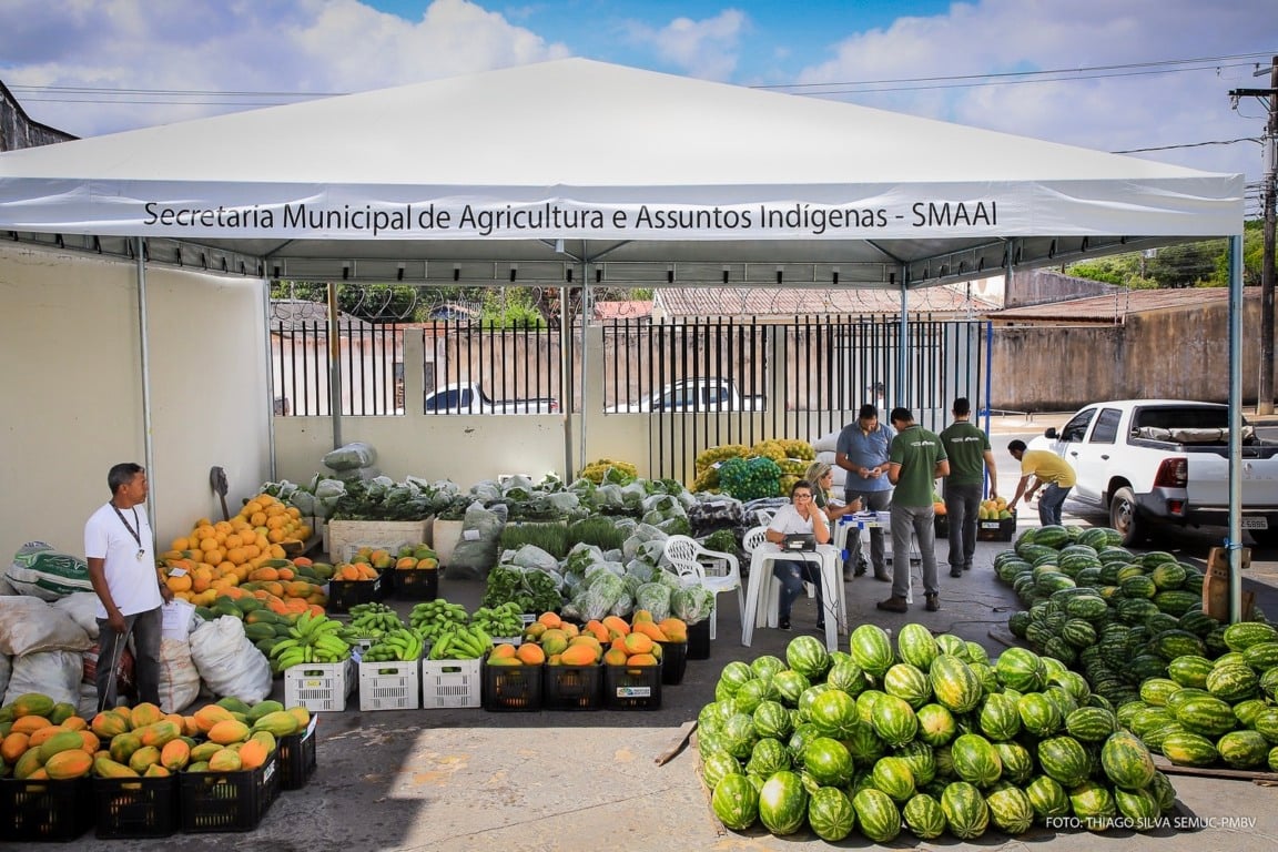 O programa permite que a produção de agricultores familiares seja comprada e destinada a entidades socioassistenciais do município. (Foto: Divulgação)