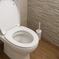 Use isso no vaso sanitário à noite e acorde com ele brilhando