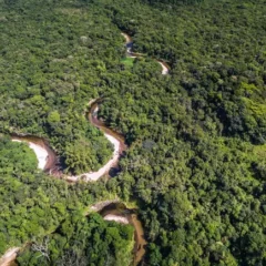 A fala do chanceler alemão não se trata apenas de ‘piada’ ou ‘visão eurocêntrica’