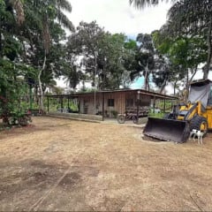 O enredo de um crime brutal que segue impune e a pergunta que não quer calar