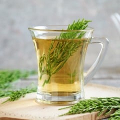 A cavalinha é rica em silício, potássio, magnésio e flavonoides, nutrientes que ajudam na regeneração dos tecidos e na purificação do organismo (Foto: Divulgação)