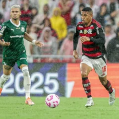 Flamengo e Palmeiras são os finalistas da Libertadores de 2025 (Foto: Gilvan de Souza/CRF)