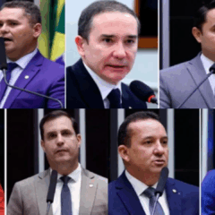 Maioria dos deputados de RR votam para dificultar aborto em crianças e adolescentes vítimas de estupro
