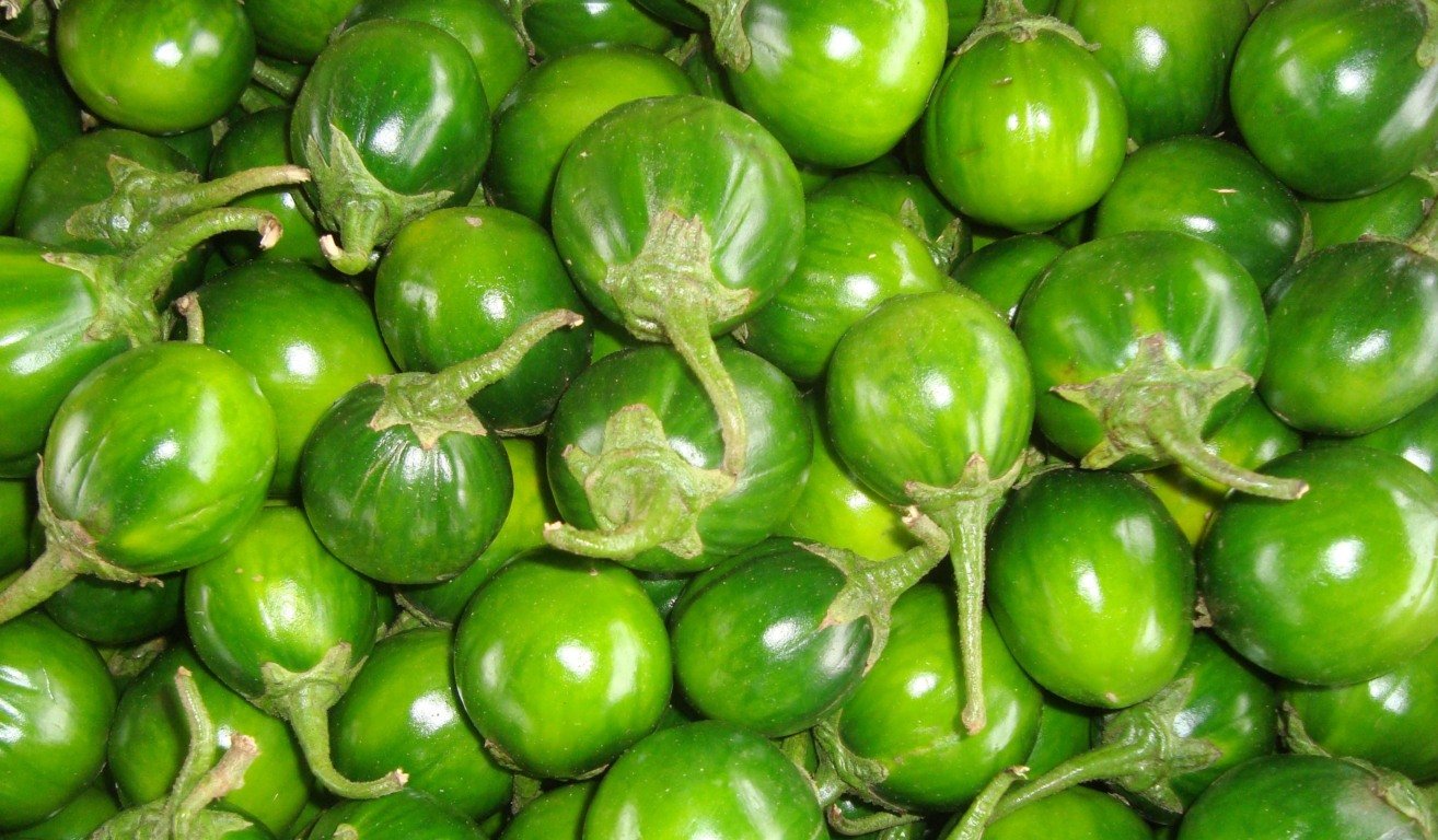 Jiló é rico em vitaminas e antioxidantes (Foto: Reprodução)