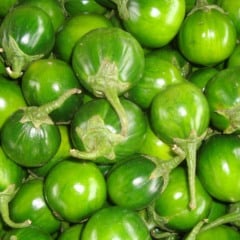 Jiló é rico em vitaminas e antioxidantes (Foto: Reprodução)