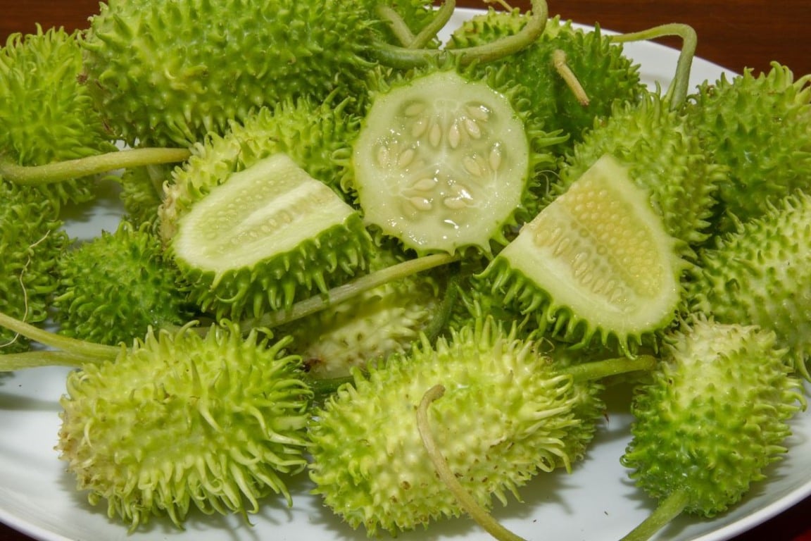 Maxixe pode ser considerado um "superlegume" (Foto: Reprodução)