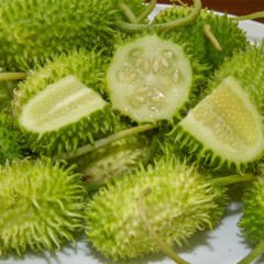 Maxixe pode ser considerado um "superlegume" (Foto: Reprodução)