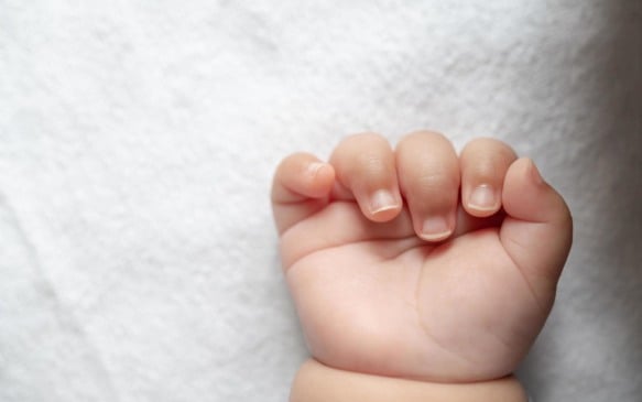 
Os dados do IBGE mostram um avanço consistente da maternidade em idades mais elevadas (Foto: Divulgação)