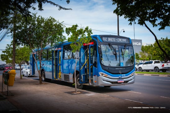 Prefeitura disponibilizou calendário de serviços essenciais de Natal e Ano Novo - Foto: Semuc