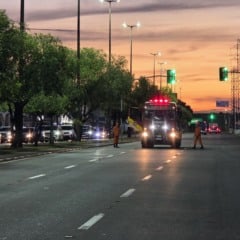 Brigadeiro Eduardo Gomes &eacute; interditada para retirada de enxame de abelhas