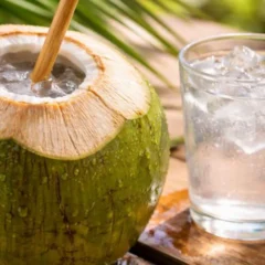 A pr&aacute;tica com &aacute;gua de coco que rep&otilde;e energia de um jeito que poucas bebidas fazem