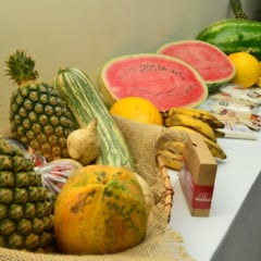 (Foto: Nilzete Franco/FolhaBV).