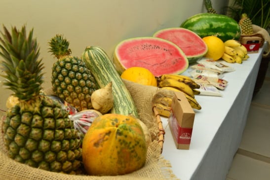 (Foto: Nilzete Franco/FolhaBV).