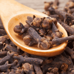 Usado h&aacute; s&eacute;culos na culin&aacute;ria e na medicina tradicional, o cravo-da-&iacute;ndia &eacute; uma especiaria arom&aacute;tica que vai muito al&eacute;m do sabor marcante (Foto Divulga&ccedil;&atilde;o)