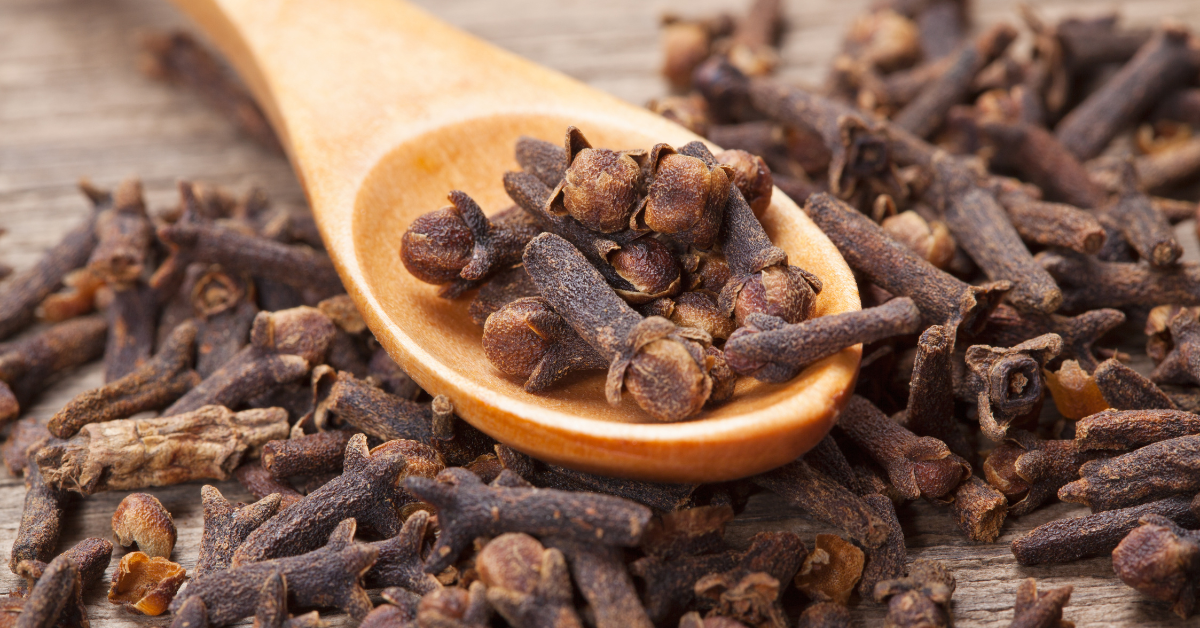 Usado há séculos na culinária e na medicina tradicional, o cravo-da-índia é uma especiaria aromática que vai muito além do sabor marcante (Foto Divulgação) Usado há séculos na culinária e na medicina tradicional, o cravo-da-índia é uma especiaria aromática que vai muito além do sabor marcante (Foto Divulgação)