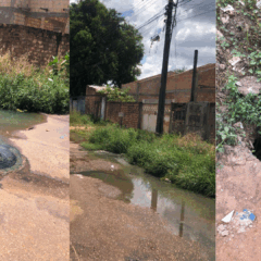 Imagens enviadas pela moradora.