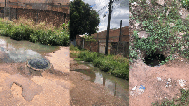 Imagens enviadas pela moradora.