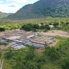 O cianeto é uma substância altamente tóxica, amplamente utilizada na mineração legalizada em vários países. (Foto: Polícia Federal).