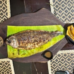 Festival Gastronômico “Roraima: Sabores da Amazônia”, traz a valorização da cultura alimentar do nosso estado