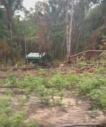 Barracos já estão sendo montados na área loteada (foto: Arquivo pessoal)