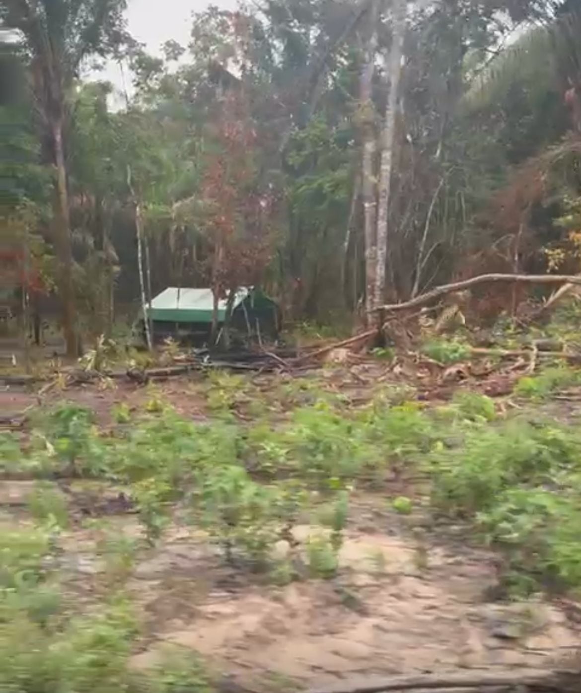 Barracos já estão sendo montados na área loteada (foto: Arquivo pessoal)