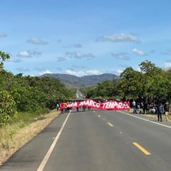 Grupo de indígenas protesta contra a PEC 48 aprovada pelo Senado (Foto: Neidiana Oliveira)
