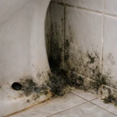 Voc&ecirc; pode limpar o vaso, esfregar o box, desinfetar a pia e at&eacute; passar um bom aromatizador no ar. Ainda assim, poucos dias depois, aquele cheiro de mofo e a sensa&ccedil;&atilde;o de umidade voltam como se nada tivesse sido feito. O motivo pode estar em um detalhe que a maioria das pessoas ignora: o local esquecido do banheiro onde o mofo come&ccedil;a primeiro. E, acredite, ele pode estar te sabotando silenciosamente mesmo nos banheiros mais limpos. O local esquecido do banheiro onde o mofo come&ccedil;a primeiro Quando falamos em mofo no banheiro, &eacute; comum imaginar azulejos encardidos, rejuntes escurecidos ou cantos do box. Mas a origem silenciosa do problema est&aacute; em um ponto menos &oacute;bvio: a parte de tr&aacute;s da tampa do vaso sanit&aacute;rio, incluindo a base onde ela se apoia e as dobradi&ccedil;as de fixa&ccedil;&atilde;o. Esse ponto costuma ficar constantemente &uacute;mido, acumular respingos invis&iacute;veis e, pior, quase nunca &eacute; limpo com aten&ccedil;&atilde;o. &Eacute; ali que o mofo costuma se instalar primeiro, mesmo quando tudo ao redor parece impec&aacute;vel. A combina&ccedil;&atilde;o de falta de ventila&ccedil;&atilde;o direta, sombra constante e umidade &eacute; o ambiente perfeito para o fungo come&ccedil;ar a agir. E quando ele se instala nesse ponto, o cheiro desagrad&aacute;vel se espalha e contamina os tecidos pr&oacute;ximos &mdash; toalhas, tapetes e at&eacute; a caixa de descarga. A sensa&ccedil;&atilde;o de ambiente malcuidado persiste, mesmo com tudo &ldquo;aparentemente&rdquo; limpo. Tampa do vaso: o vil&atilde;o invis&iacute;vel da umidade Ao levantar a tampa do vaso, &eacute; comum perceber marcas de &aacute;gua ou manchas amareladas que voltam pouco tempo ap&oacute;s a limpeza. Esse &eacute; um sinal claro de que h&aacute; ac&uacute;mulo de fungos ou bact&eacute;rias ali, justamente por ser um local onde o pano raramente alcan&ccedil;a com press&atilde;o. Al&eacute;m disso, as dobradi&ccedil;as da tampa &mdash; especialmente se forem met&aacute;licas &mdash; ret&ecirc;m &aacute;gua e dificultam a secagem completa. O mofo come&ccedil;a aos poucos e se espalha para a parede ou para o ch&atilde;o, dependendo da inclina&ccedil;&atilde;o do piso. O ideal &eacute; desmontar a tampa uma vez por semana (a maioria dos modelos permite isso com facilidade) e fazer uma limpeza profunda com escova, vinagre ou produto espec&iacute;fico antif&uacute;ngico, al&eacute;m de deixar a pe&ccedil;a secando ao ar livre antes de recoloc&aacute;-la. Base do vaso: o ch&atilde;o onde o mofo se espalha Outro ponto cr&iacute;tico &eacute; a base do vaso, principalmente a jun&ccedil;&atilde;o entre o vaso e o piso. Essa &aacute;rea costuma receber respingos durante o uso e na pr&oacute;pria lavagem do banheiro, mas quase nunca &eacute; seca corretamente. A &aacute;gua acumulada ali, somada &agrave; falta de sol direto e ao calor da descarga constante, cria um ecossistema perfeito para o mofo. Um dos sinais mais comuns de que o problema come&ccedil;ou ali &eacute; quando o rejunte ou o silicone da base come&ccedil;a a escurecer ou descascar. Se ignorado, o mofo penetra nas frestas e chega at&eacute; o contrapiso &mdash; e a&iacute; o cheiro n&atilde;o vai embora mesmo com todos os produtos do mundo. Usar uma escova pequena e flex&iacute;vel para limpar diariamente a base e aplicar produtos fungicidas ajuda a conter o problema. Tamb&eacute;m vale secar com papel toalha ou pano absorvente ap&oacute;s cada lavagem do banheiro. Tapetes, cortinas e acess&oacute;rios aceleram o problema Se voc&ecirc; costuma usar tapetes de tecido no banheiro, especialmente pr&oacute;ximos ao vaso, eles podem estar acelerando a propaga&ccedil;&atilde;o do mofo. Quando ficam &uacute;midos e s&atilde;o esquecidos ali, absorvem as part&iacute;culas de fungos presentes no ar e se tornam col&ocirc;nia. O mesmo vale para cortinas de box mal secas ou cestos de roupa encostados na parede. A umidade que emana do vaso, mesmo invis&iacute;vel, atinge todos esses pontos. Por isso, o ideal &eacute; manter os tapetes sempre secos, trocar com frequ&ecirc;ncia e preferir modelos lav&aacute;veis &agrave; m&aacute;quina. Tamb&eacute;m &eacute; importante abrir janelas ap&oacute;s o banho, usar exaustores e, se poss&iacute;vel, deixar a porta do banheiro semiaberta para aumentar a circula&ccedil;&atilde;o de ar. Limpeza com foco nos detalhes faz toda a diferen&ccedil;a Muita gente dedica tempo &agrave; limpeza das partes vis&iacute;veis, mas esquece dos detalhes t&eacute;cnicos que fazem a diferen&ccedil;a real. Limpar as laterais do vaso, o suporte da escova sanit&aacute;ria, os puxadores do arm&aacute;rio e at&eacute; o rejunte atr&aacute;s da lixeira s&atilde;o atitudes que quebram o ciclo do mofo antes que ele comece. Outro ponto relevante &eacute; o tipo de produto utilizado. Evite misturar muitos produtos diferentes ou usar excesso de &aacute;gua sanit&aacute;ria sem enx&aacute;gue. Isso pode criar uma pel&iacute;cula que esconde o mofo em vez de elimin&aacute;-lo. Produtos com a&ccedil;&atilde;o fungicida e aplica&ccedil;&atilde;o a seco podem ser mais eficazes em &aacute;reas pequenas e dif&iacute;ceis. A preven&ccedil;&atilde;o &eacute; o segredo para um banheiro sem mofo Saber onde o mofo come&ccedil;a &eacute; o primeiro passo para evit&aacute;-lo de vez. O local esquecido do banheiro onde o mofo come&ccedil;a primeiro &eacute; justamente aquele que ningu&eacute;m limpa com a mesma frequ&ecirc;ncia que o restante do c&ocirc;modo. Mas agora que voc&ecirc; sabe onde est&aacute; o foco do problema, pode agir com precis&atilde;o antes que ele volte a aparecer. Com uma rotina de limpeza bem pensada, aten&ccedil;&atilde;o aos detalhes e foco nos pontos escondidos, voc&ecirc; transforma o banheiro em um ambiente verdadeiramente limpo, sem odores desagrad&aacute;veis e com uma apar&ecirc;ncia sempre acolhedora.