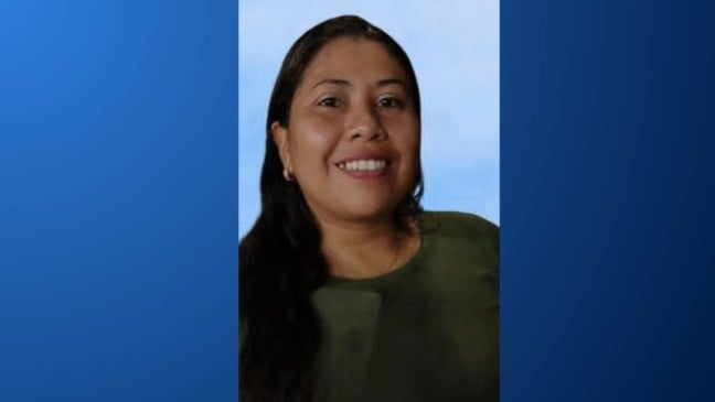 Deysinara Fernandes Gonçalves, de 35 anos, foi assassinada a tiros enquanto dormia. (Foto: Reprodução)