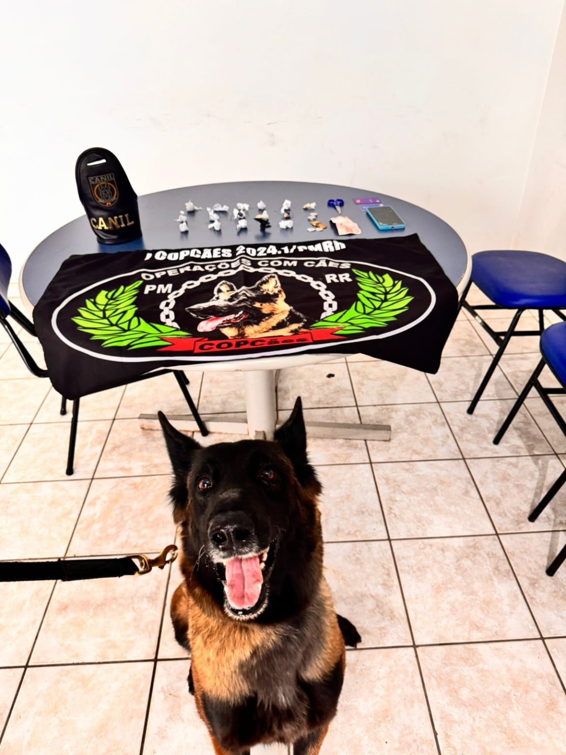 A cadela farejadora Vicky foi empregada no local e indicou positivamente para a presença de entorpecentes em uma área próxima A cadela farejadora Vicky foi empregada no local e indicou positivamente para a presença de entorpecentes em uma área próxima