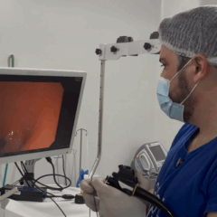 A expectativa é que o serviço reduza viagens, agilize diagnósticos e facilite o início do tratamento de doenças gastrointestinais. (Foto: Divulgação)