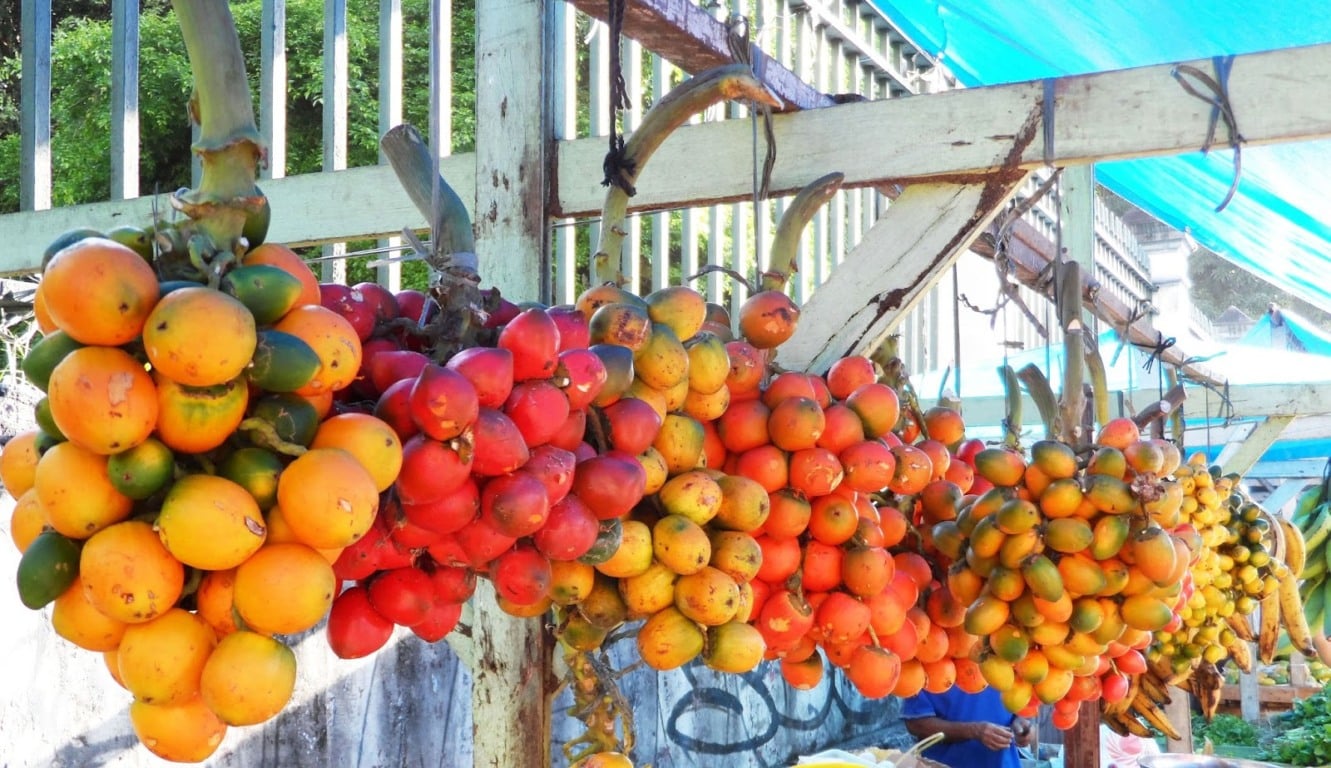 Pupunha (Foto: Reprodução) Pupunha (Foto: Reprodução)