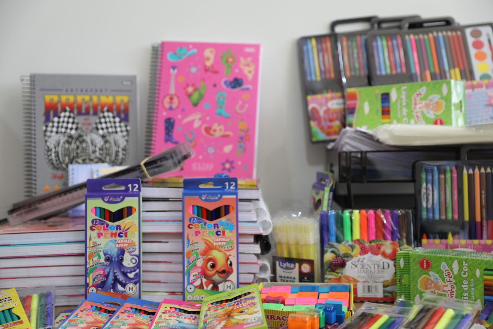 Campanha da Defensoria arrecada material escolar para alunos da rede pública; saiba como participar