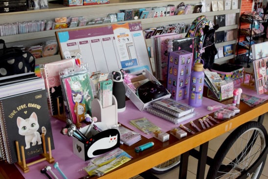 Antes de ir às compras, a orientação é definir quanto a família pode gastar e listar apenas os materiais realmente necessários. (Foto: Wenderson Cabral)