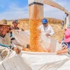 A Prefeitura de Boa Vista j&aacute; investiu R$ 76.892.028,17 no fortalecimento da agricultura familiar. Cr&eacute;dito: PMBV.