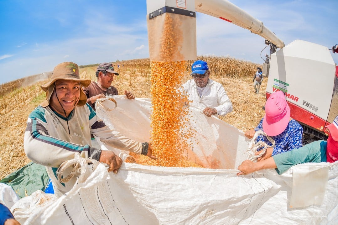 A Prefeitura de Boa Vista já investiu R$ 76.892.028,17 no fortalecimento da agricultura familiar. Crédito: PMBV. A Prefeitura de Boa Vista já investiu R$ 76.892.028,17 no fortalecimento da agricultura familiar. Crédito: PMBV.
