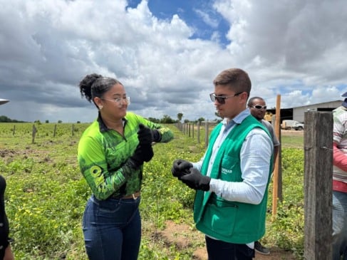 O processo não estabelece número máximo de vagas, e a contratação dos profissionais ocorrerá conforme a demanda dos projetos. (Foto: Divulgação)