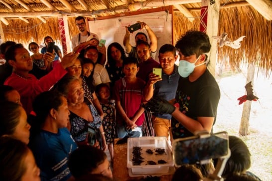 A Aderr participou das ações por meio do Programa Estadual de Controle da Raiva de Herbívoros, oferecendo apoio técnico especializado. (Foto: Divulgação)