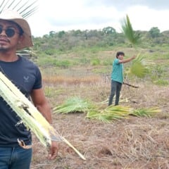 (Foto: Divulga&ccedil;&atilde;o)