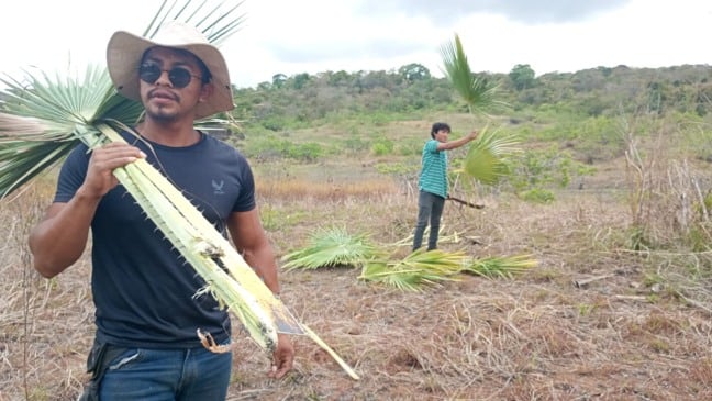 (Foto: Divulgação)