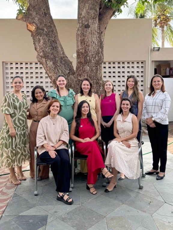 CRO-RR inicia nova gestão com projetos voltados à classe odontológica