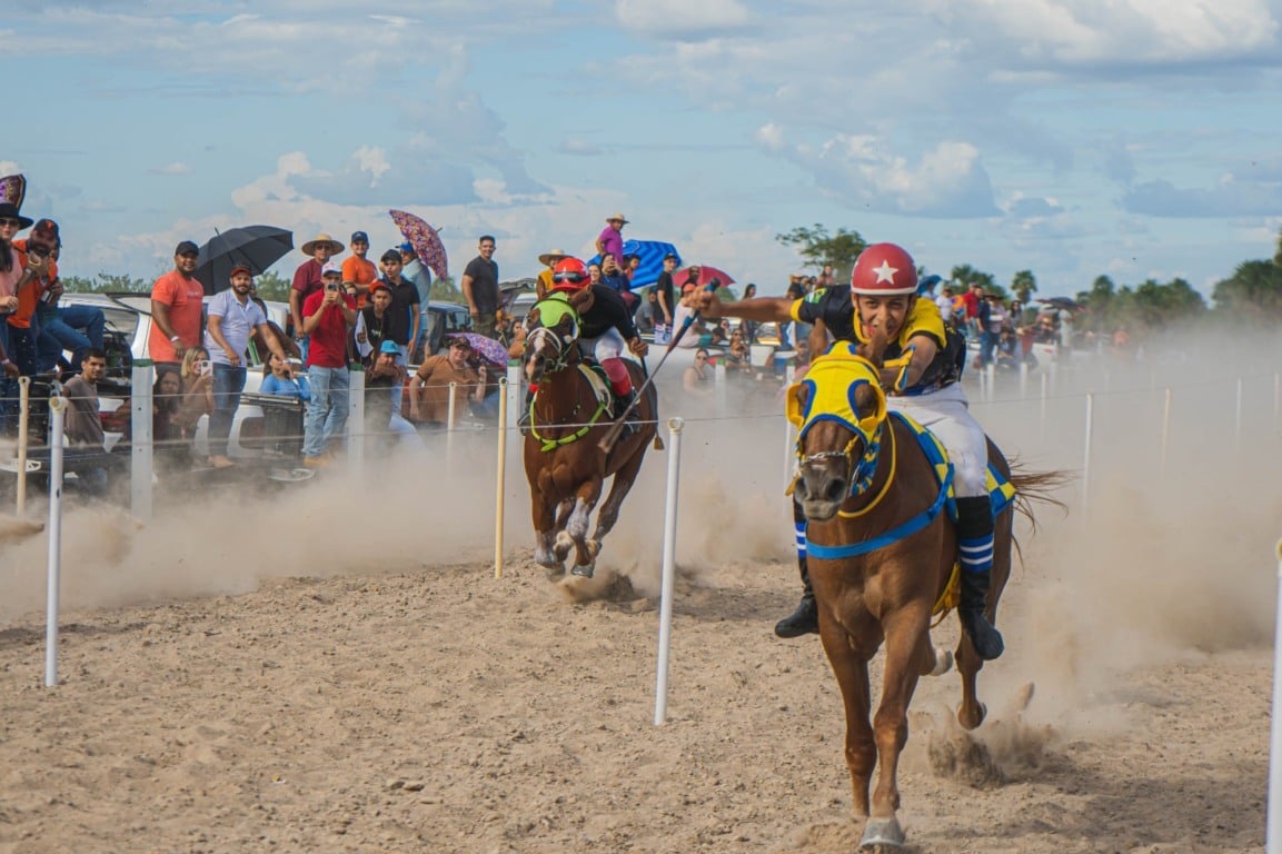 Cavalos disputam palmo a palmo uma das provas do circuito / Pablo Magalhães Cavalos disputam palmo a palmo uma das provas do circuito / Pablo Magalhães